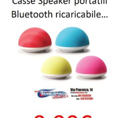 MASTER Casse Speaker portatili Bluetooth ricaricabile …MASTER Casse Speaker portatili Bluetooth ricaricabile …