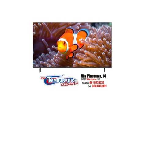 MAJESTIC TELEVISORE FULL HD DA 43” SMART