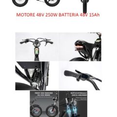 RIDSTAR MOTORE 250W 48V BATTERIA DA 48V 15Ah