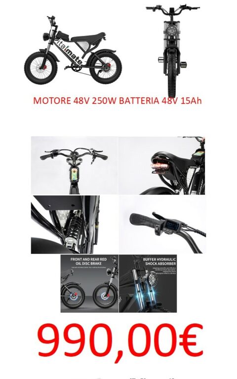 RIDSTAR MOTORE 250W 48V BATTERIA DA 48V 15Ah